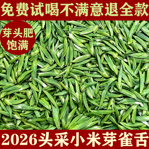 头采雀舌绿茶茶叶特级2026新茶春茶散装雅安蒙顶山茶礼盒装250g - 封面