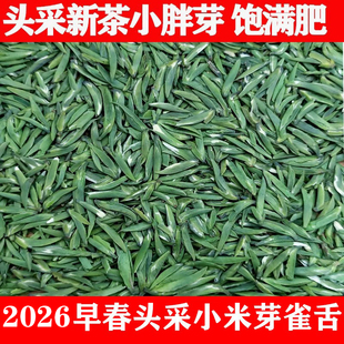 头采雀舌绿茶茶叶特级2026新茶春茶散装雅安蒙顶山茶礼盒装250g