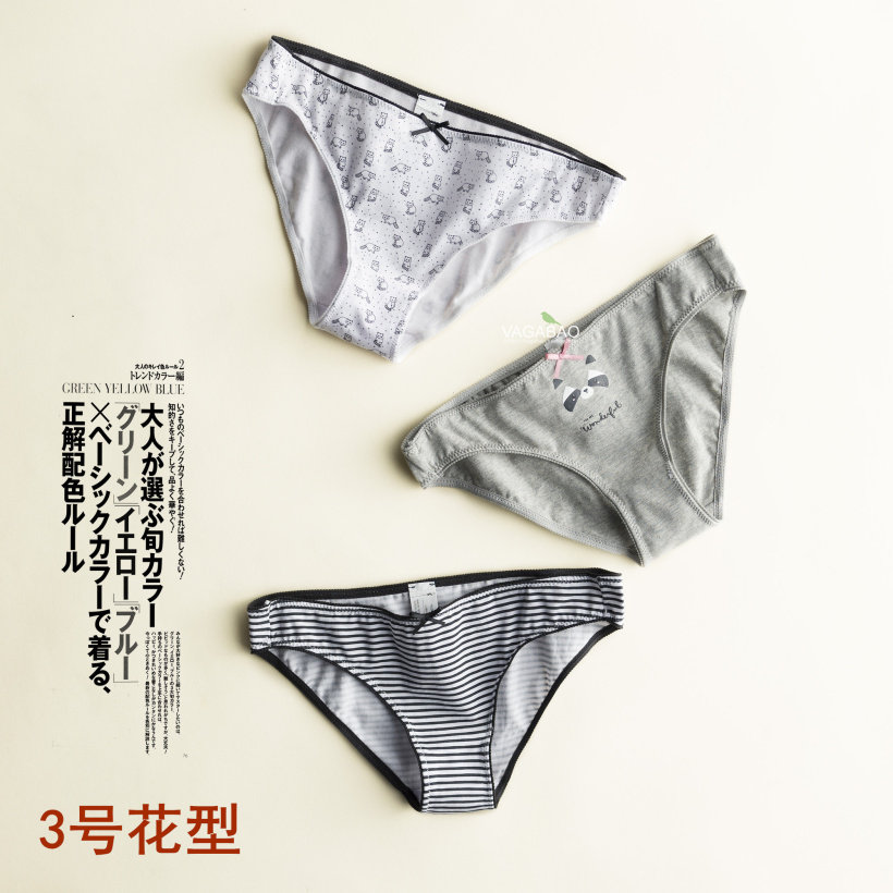 Slip jeunesse 1602K10 en coton - Ref 640762 Image 4