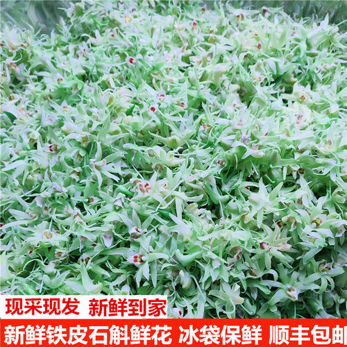 顺丰包邮新鲜铁皮石斛花一斤500g