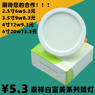 泰祥led筒灯白富美系列照明天花灯嵌入式射灯高亮洞孔灯客厅灯具