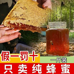 正宗无添加百花蜜蜂蜜纯正天然土蜂蜜农家自产野生峰蜜