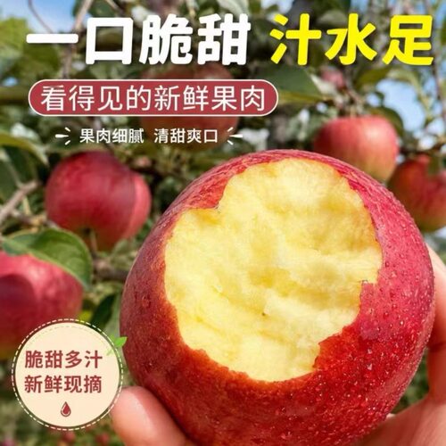 云南昭通白露苹果高山苹果纯甜无酸脆甜多汁新鲜现摘先发