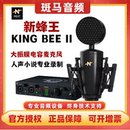 新蜂王二代话筒大振膜直播K歌录音有声书麦克风 KingBee NEAT