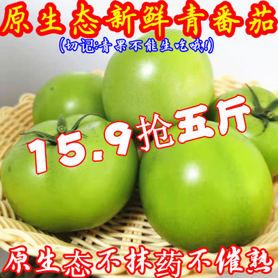 青西红柿新鲜青番茄现摘一整箱