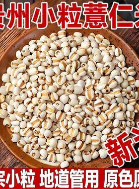 贵州兴仁小薏米仁薏仁米新货新米薏苡仁意米新鲜正宗意薏仁糯薏米