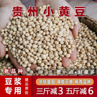 非转基因老品种黄豆500g豆浆专用