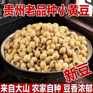 黄豆打豆浆专用豆子大豆农家自种非转基因老式 老品种黑脐笨小黄豆