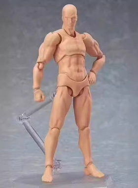 figma 2.0 素体 15周年青年版 男女素体 肤色 灰色 女橙 可动手办