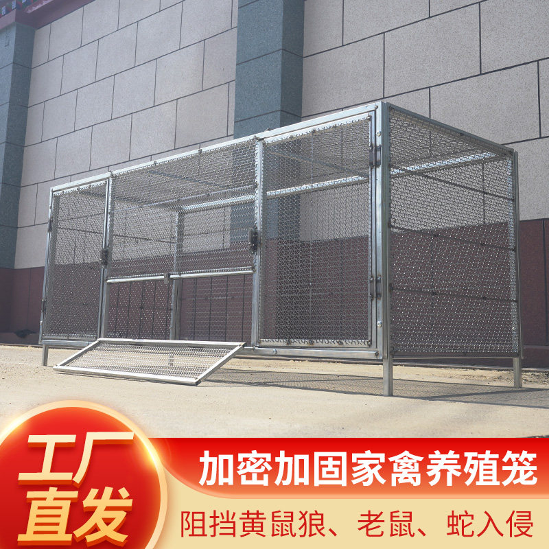 防老鼠黄鼠狼加密自动滚蛋鸡笼链宠物鸡/鸭/鸽笼