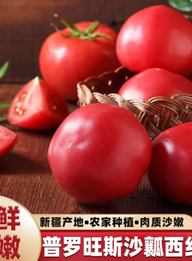 新疆普罗旺斯西红柿沙瓤番茄5斤