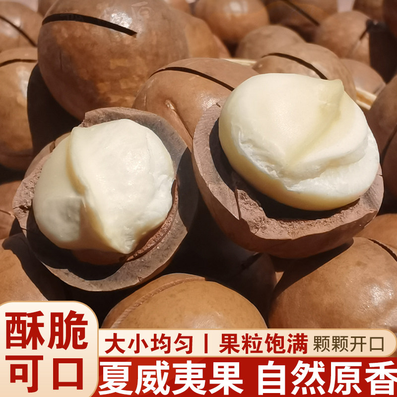 夏威夷果大颗粒云南坚果原味健康零食孕妇干果新货果粒饱满500g