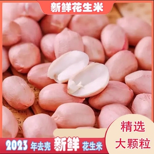 新货花生米生山东大颗粒白沙农家杂粮新鲜白皮商用无壳花生仁5斤
