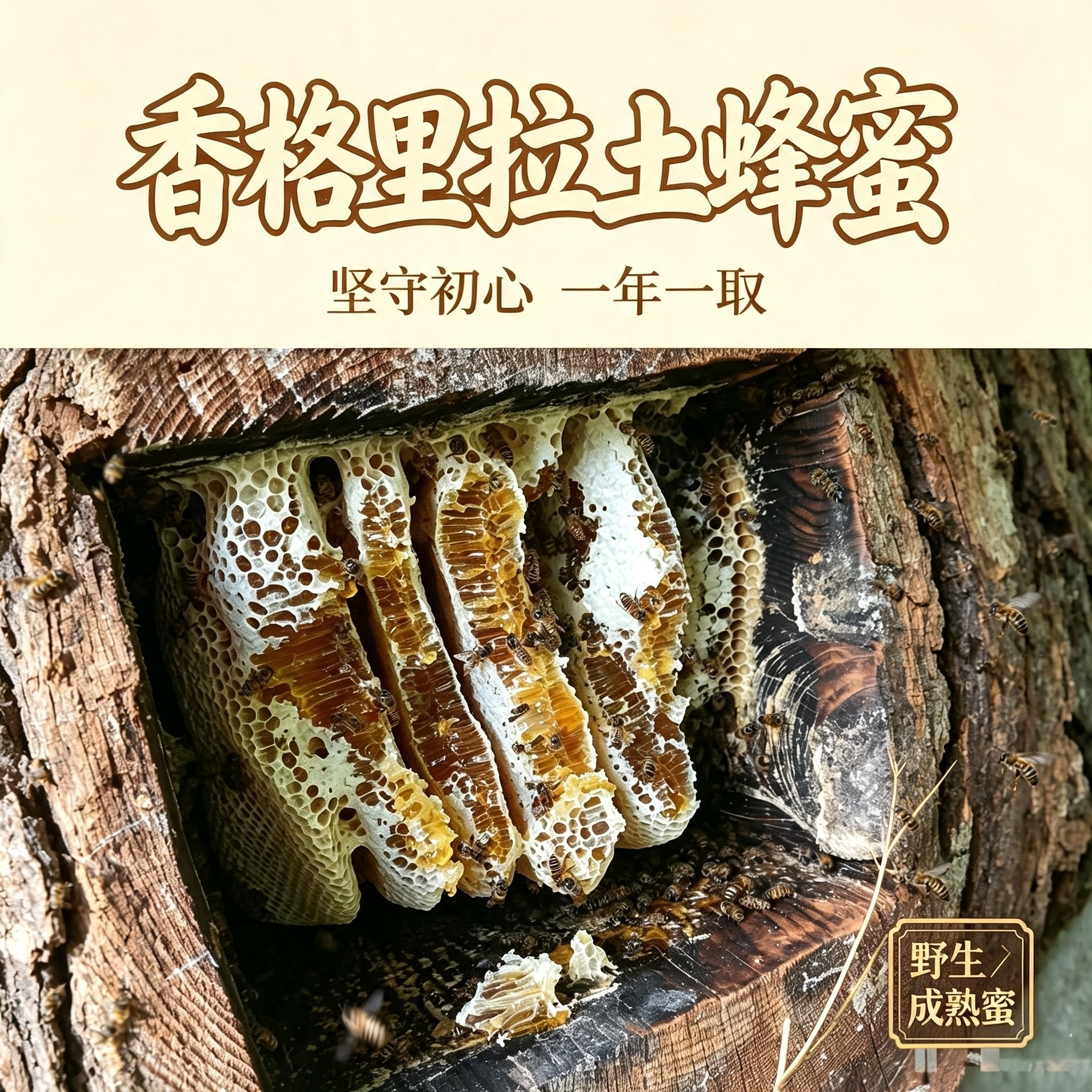 香格里拉野生土蜂蜜、成熟原蜜、结晶蜂蜜、蜂蜜，深山百花蜜