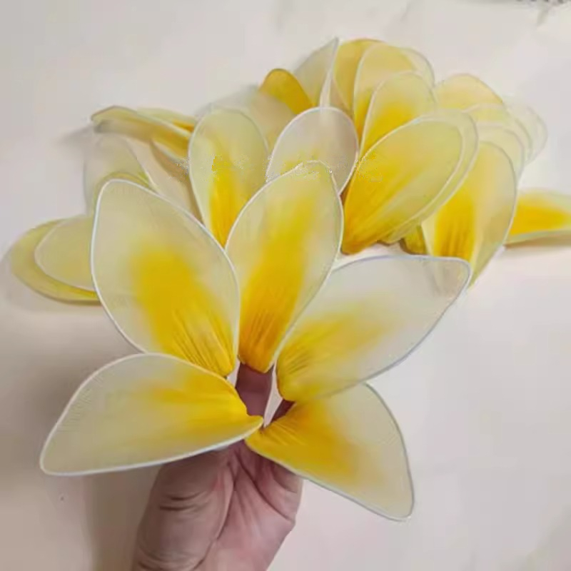 女子群舞玉兰花开手指花花瓣玉兰花花瓣舞蹈道具指间花瓣手拿花