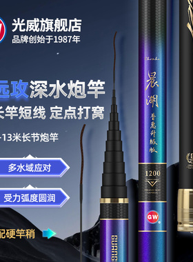 晨湖普惠升级版大炮竿碳素鱼竿超轻超硬深水远攻打窝手杆钓鱼竿
