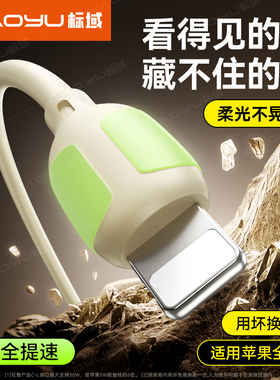 标域PD30W快充线适用iPhone苹果ipad平板14pro13/12/11手机16/15双typec发光USB车载100w数据线xr/xs充电器线