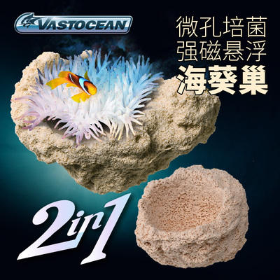 VASTOCEAN培菌悬浮海葵巢造景石