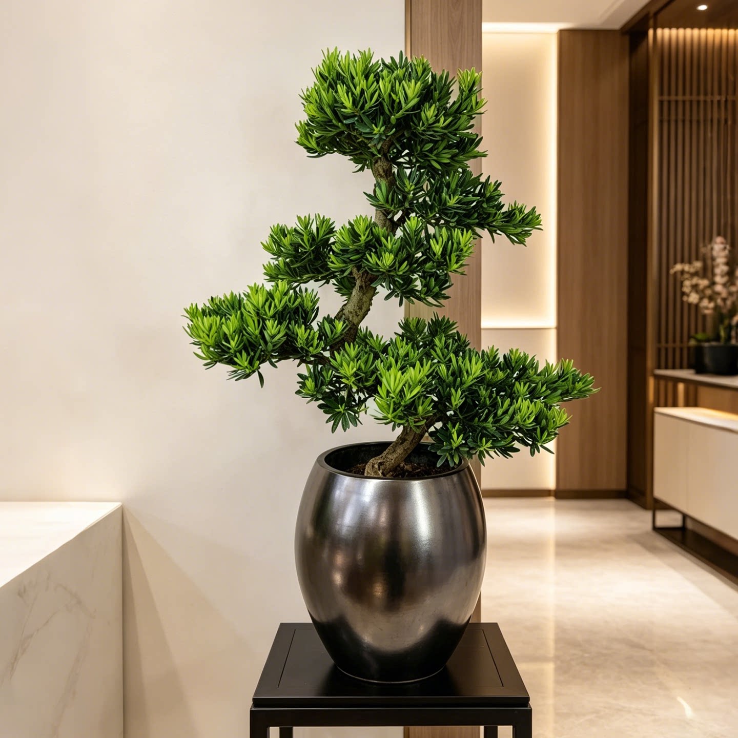 菊花芯罗汉松造型盆栽客厅办公室高档盆景开业乔迁送礼送领导植物