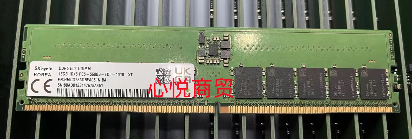 海力士DDR55600服务器ECC内存
