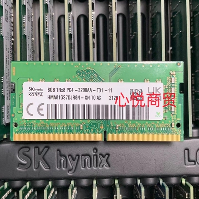 SKDDR43200笔记本ECC内存