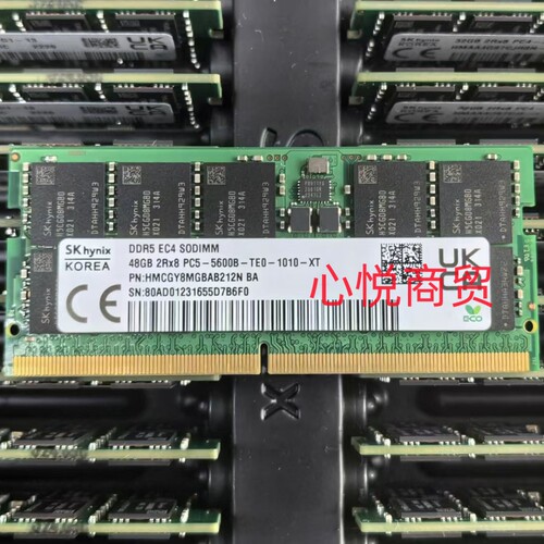 海力士DDR54800笔记本ECC内存