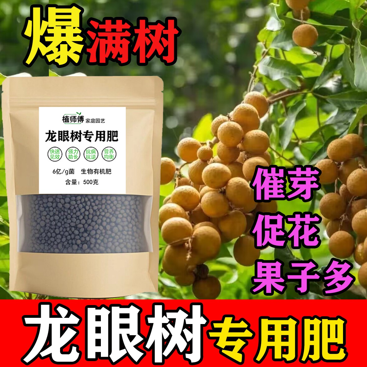 龙眼树肥料专用肥营养液桂圆化有机复合颗粒缓释家庭四季苗
