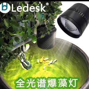乐迪鱼缸灯全光谱LED爆藻灯金鱼兰寿缸晒龟陶瓷瓦缸鱼盆爆苔 筒灯