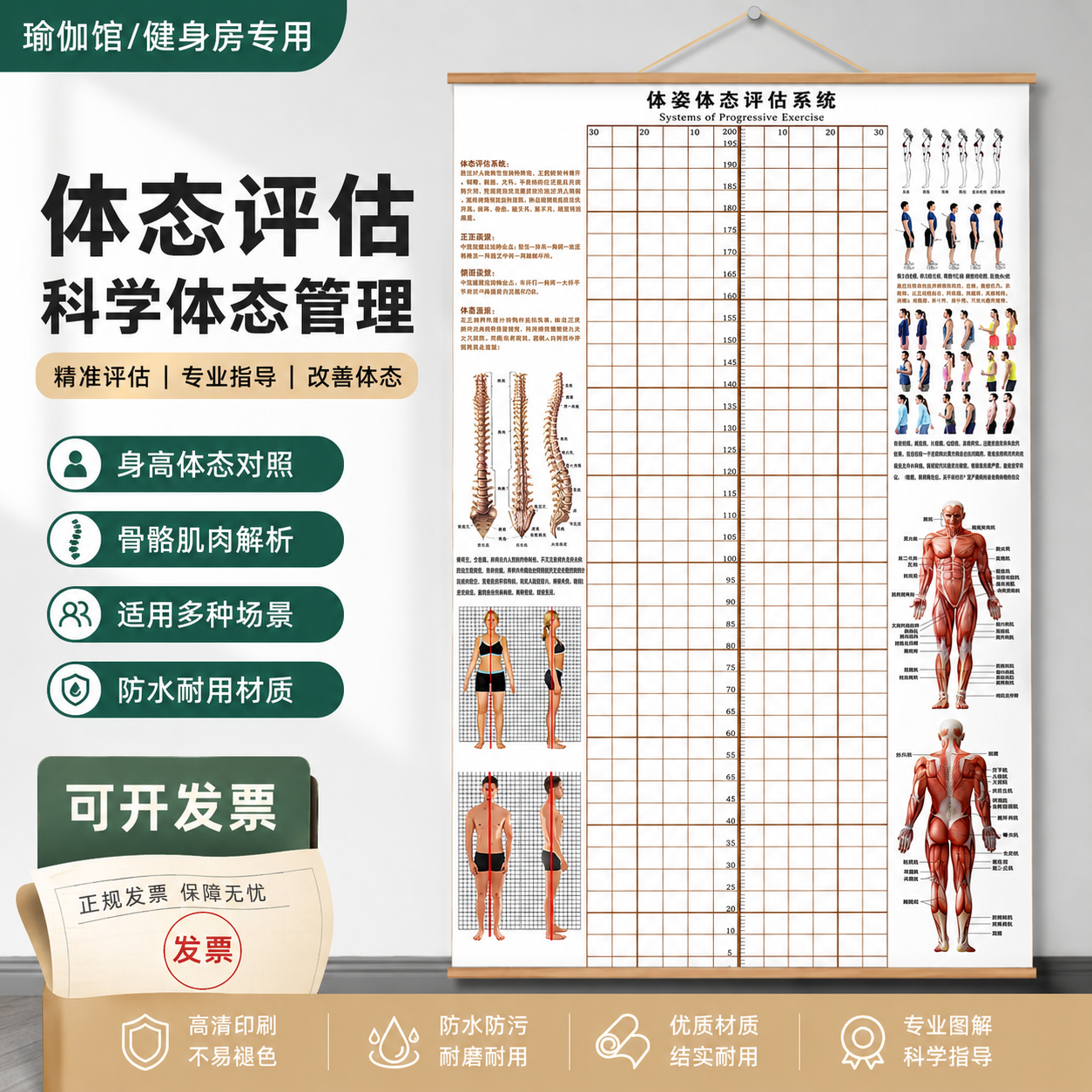 现货体态评估图瑜伽 体姿体态评估系统中医理疗馆脊椎姿势对比图