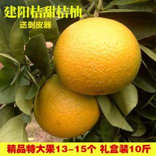 建阳桔柚新鲜水果桔子福建甜橘柚礼盒装大果非庆元会昌10斤包邮