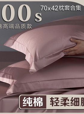 亚纯棉深睡枕pro枕头套一对酒店朵枕套单42x70全棉家用星球35x55
