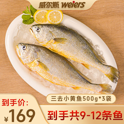 威尔斯500g免杀冷冻黄鱼500g*3袋