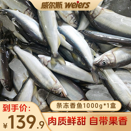 威尔斯生冻原条香鱼1000g