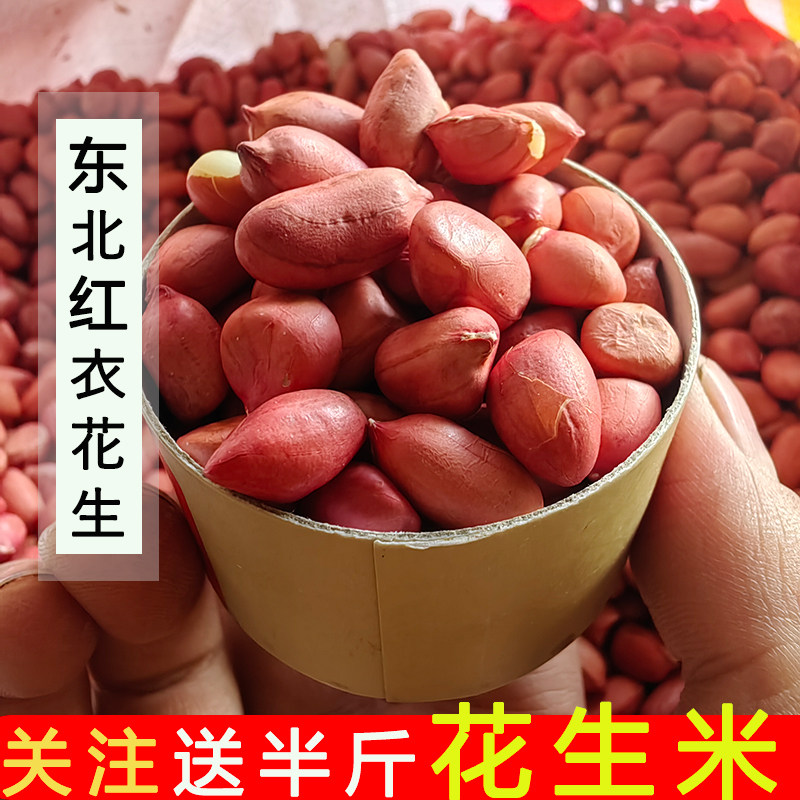 东北四粒红生花生米 2021新货新鲜红衣去壳花生仁 散装五斤特大粒