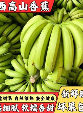 广西威廉斯香蕉高山种植新鲜水果生青香蕉非大芭蕉米蕉香蕉特价