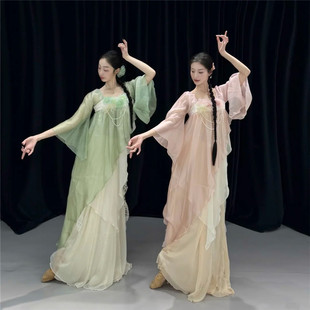 裙中国舞艺考大摆裙表演出练功同款 胆小怡古典舞蹈服装 纱衣飘逸裤