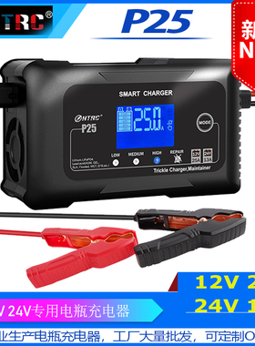 P25汽车摩托车电瓶充电器12V25A24V13A铅酸蓄电池AGM智能充电器
