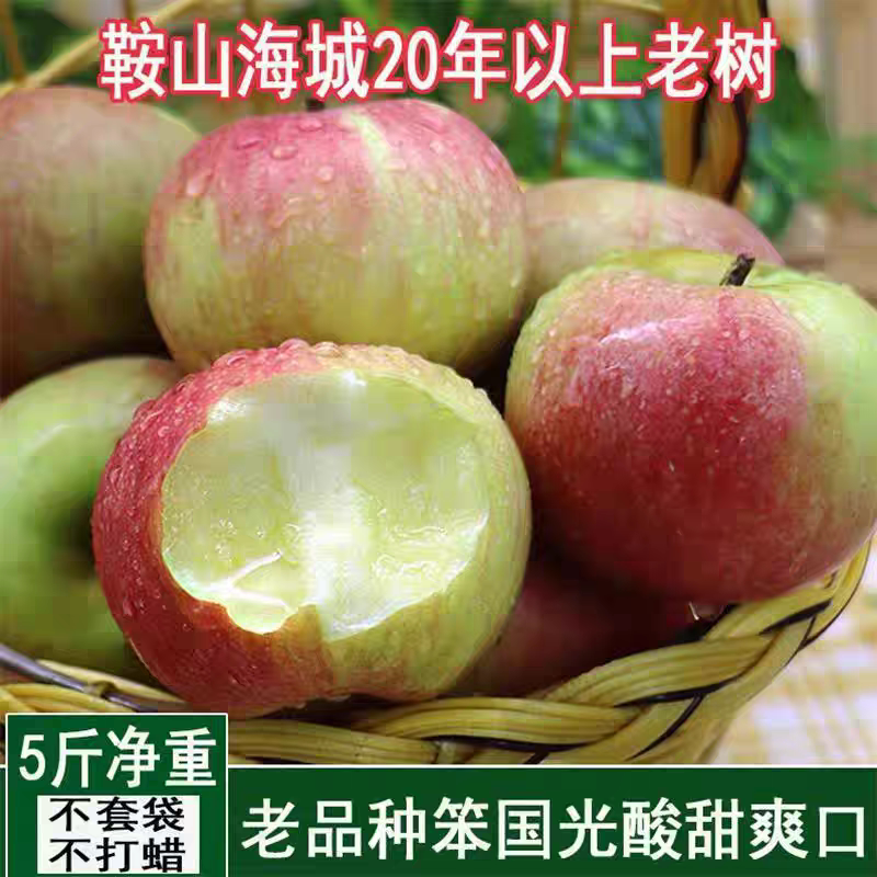 国光苹果5斤水果新鲜当季整箱脆甜应季大苹果平果老品种老树图片