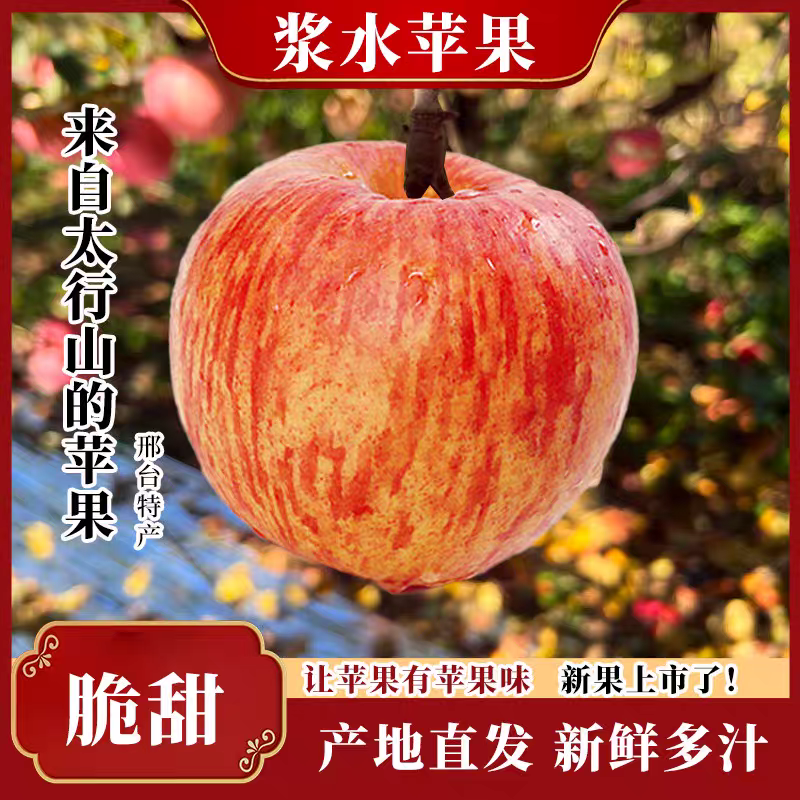 邢台浆水苹果邢田耕品红富士河北特产水果太行山新鲜脆甜多汁整箱