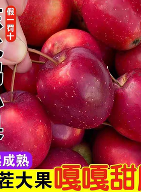 东北鸡心果海棠果水果小苹果酸甜可口当季果现摘现发整箱