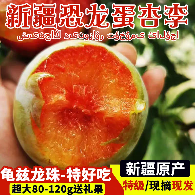 新疆恐龙蛋味帝李龟兹龙珠杏李新鲜水果胭脂血丝李红布林李子
