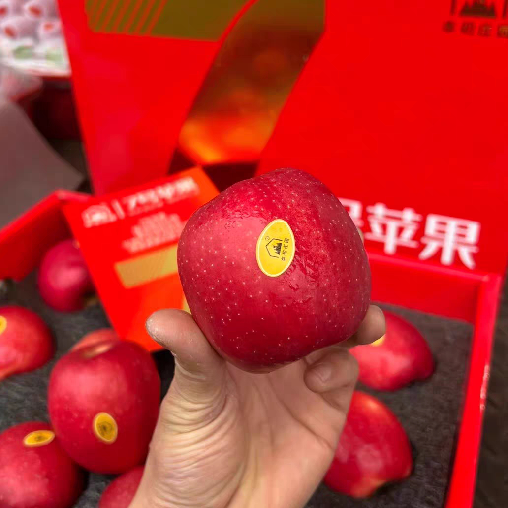 白水瑞香红苹果新品种 香甜可口新鲜苹果西农大研发图片