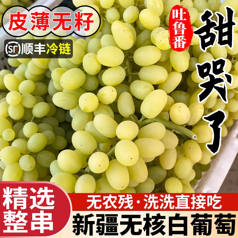 新疆吐鲁番葡萄新鲜无籽无核白水果当季甜马奶提子子青提顺丰