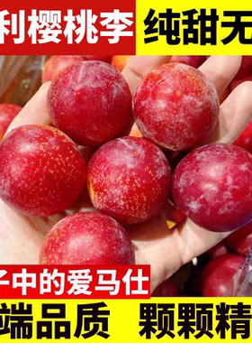 现货空运智利樱桃李5J大果纯甜新鲜时令水果大李子澳洲洋李子顺丰