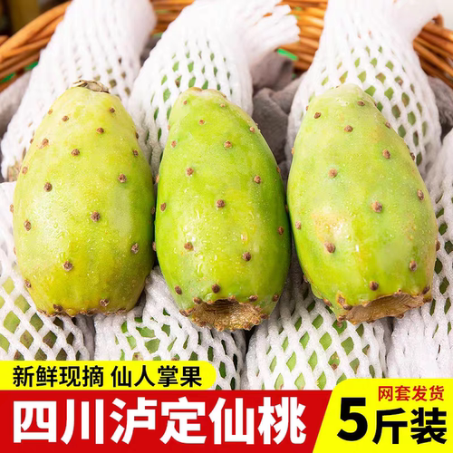 四川仙人掌果白心仙桃新鲜水果实时令不常见稀奇古怪泡水食用5斤