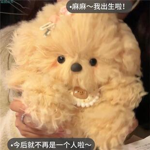 卷毛小狗可以录音的可爱创意DIY手工毛绒小玩偶送女朋友圣诞礼物