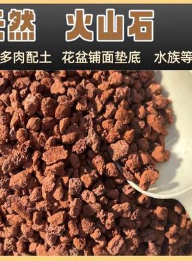 天然红色多孔透气火山石园艺辅料兰花多肉拌土铺面垫底使用