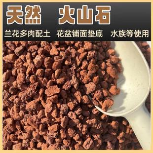 天然红色多孔透气火山石园艺辅料兰花多肉拌土铺面垫底使用