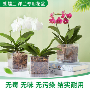 蝴蝶兰新手花友必选高透明方形塑料花盆透气透水方便观察根系