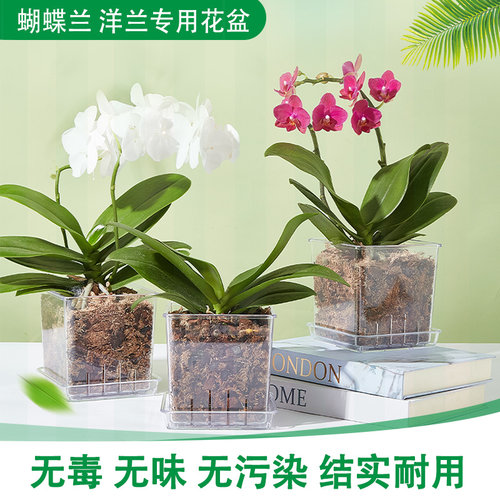蝴蝶兰方形透明透气花盆